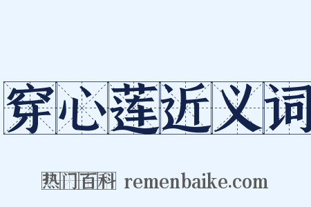 穿心莲近义词是什么意思的图片